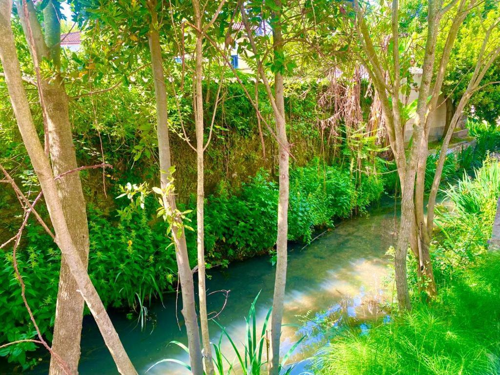 شقة Domaine D'Ella Jourre Canet  المظهر الخارجي الصورة